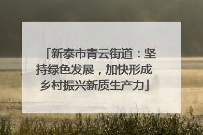 新泰市青云街道：坚持绿色发展，加快形成乡村振兴新质生产力