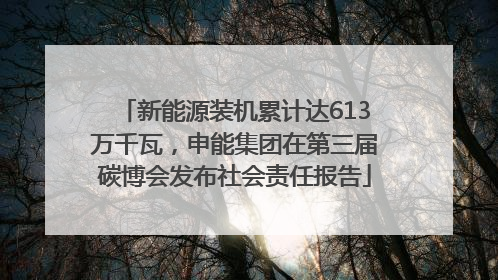 新能源装机累计达613万千瓦，申能集团在第三届碳博会发布社会责任报告
