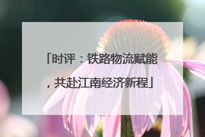 时评：铁路物流赋能，共赴江南经济新程