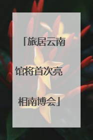 旅居云南馆将首次亮相南博会