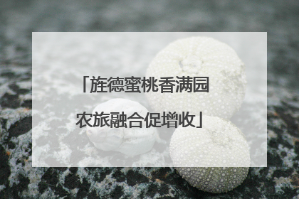 旌德蜜桃香满园 农旅融合促增收