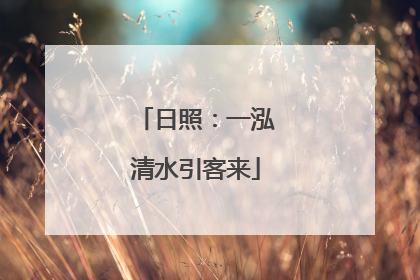 日照：一泓清水引客来