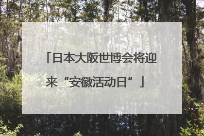 日本大阪世博会将迎来“安徽活动日”