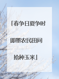 春争日夏争时 即墨农民田间抢种玉米