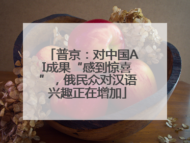 普京：对中国AI成果“感到惊喜”，俄民众对汉语兴趣正在增加