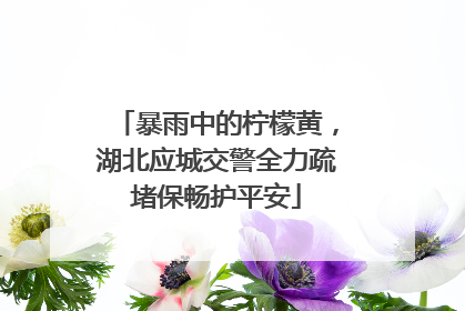 暴雨中的柠檬黄，湖北应城交警全力疏堵保畅护平安