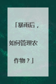 暴雨后，如何管理农作物？