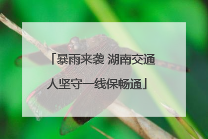 暴雨来袭 湖南交通人坚守一线保畅通