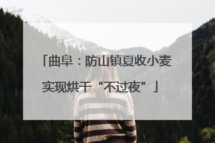 曲阜：防山镇夏收小麦实现烘干“不过夜”