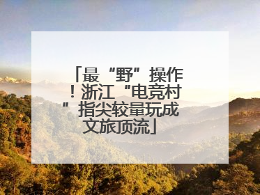 最“野”操作！浙江“电竞村”指尖较量玩成文旅顶流