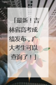 最新！吉林省高考成绩发布，广大考生可以查询了！