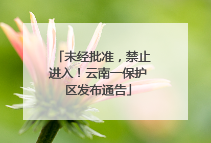 未经批准，禁止进入！云南一保护区发布通告