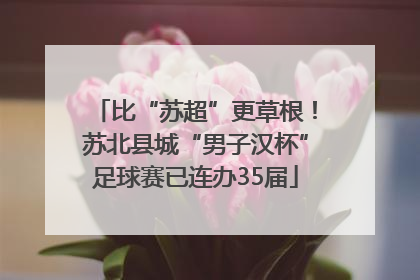比“苏超”更草根！苏北县城“男子汉杯”足球赛已连办35届