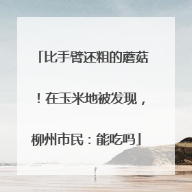 比手臂还粗的蘑菇！在玉米地被发现，柳州市民：能吃吗