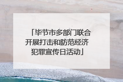 毕节市多部门联合开展打击和防范经济犯罪宣传日活动