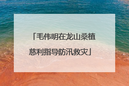 毛伟明在龙山桑植慈利指导防汛救灾