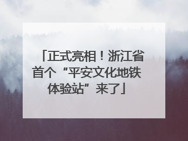 正式亮相！浙江省首个“平安文化地铁体验站”来了