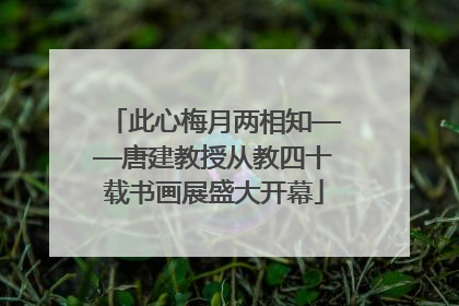 此心梅月两相知——唐建教授从教四十载书画展盛大开幕