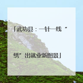 武功县：一针一线“绣”出就业新图景