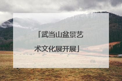 武当山盆景艺术文化展开展