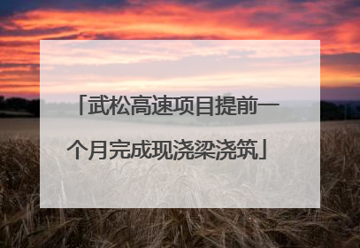 武松高速项目提前一个月完成现浇梁浇筑
