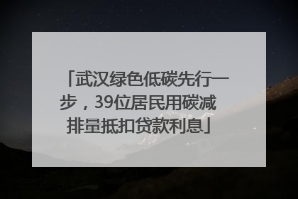 武汉绿色低碳先行一步，39位居民用碳减排量抵扣贷款利息