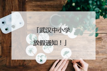 武汉中小学放假通知！