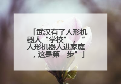 武汉有了人形机器人“学校”，“人形机器人进家庭，这是第一步”
