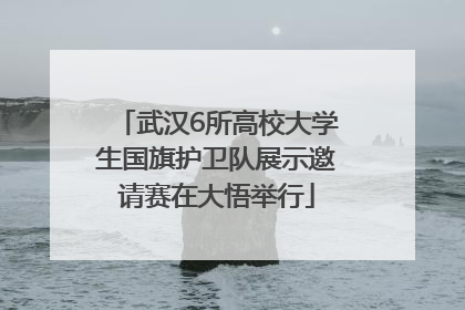 武汉6所高校大学生国旗护卫队展示邀请赛在大悟举行
