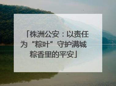 株洲公安：以责任为“粽叶”守护满城粽香里的平安