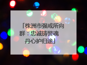 株洲市强戒所向群：忠诚铸警魂 丹心护归途