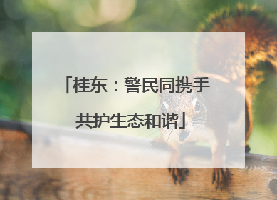 桂东：警民同携手 共护生态和谐