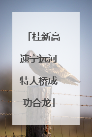 桂新高速宁远河特大桥成功合龙