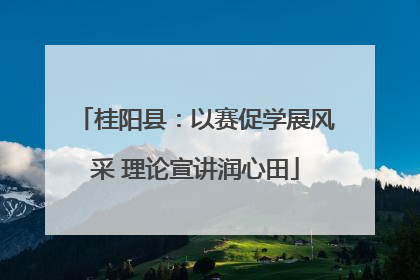 桂阳县：以赛促学展风采 理论宣讲润心田