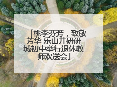 桃李芬芳，致敬芳华 乐山井研研城初中举行退休教师欢送会