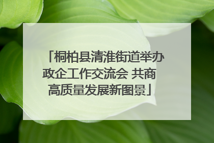 桐柏县清淮街道举办政企工作交流会 共商高质量发展新图景