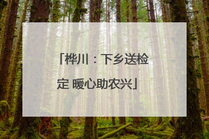 桦川：下乡送检定 暖心助农兴
