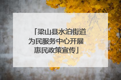 梁山县水泊街道为民服务中心开展惠民政策宣传