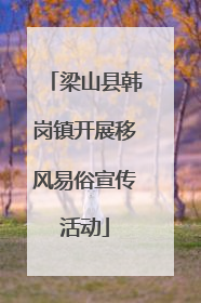 梁山县韩岗镇开展移风易俗宣传活动