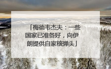 梅德韦杰夫：一些国家已准备好，向伊朗提供自家核弹头
