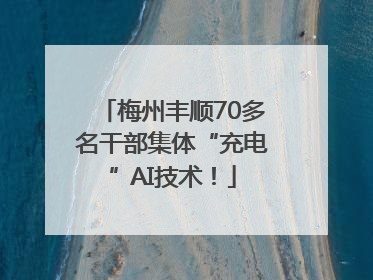梅州丰顺70多名干部集体“充电”AI技术！