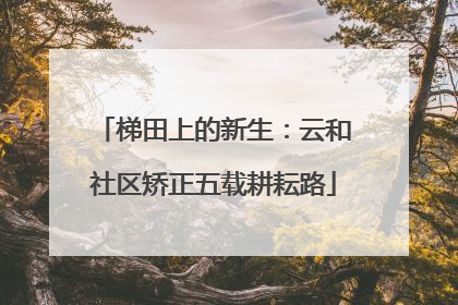 梯田上的新生：云和社区矫正五载耕耘路