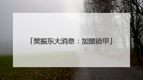 樊振东大消息：加盟德甲