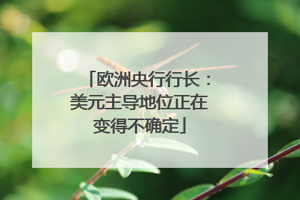欧洲央行行长：美元主导地位正在变得不确定