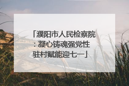 濮阳市人民检察院：凝心铸魂强党性 驻村赋能迎七一