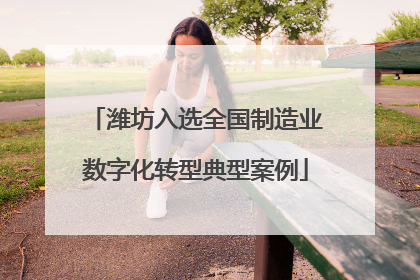 潍坊入选全国制造业数字化转型典型案例