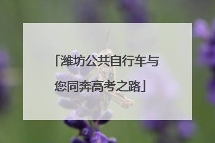 潍坊公共自行车与您同奔高考之路