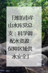 潍坊市牟山水库党总支：科学调配水资源 保障区域供水安全