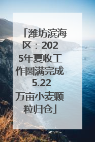 潍坊滨海区：2025年夏收工作圆满完成 5.22万亩小麦颗粒归仓
