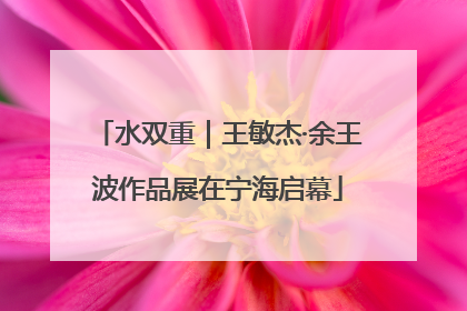 水双重｜王敏杰·余王波作品展在宁海启幕
